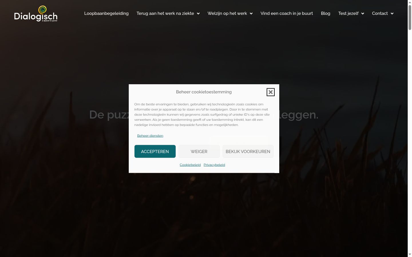 Screenshot of the consent banner shown before any interaction