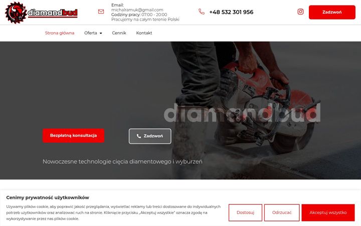 Snímek obrazovky diamandbud.pl