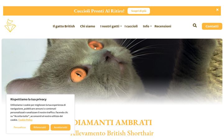 Ekrano kopija diamantiambrati.altervista.org