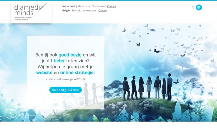 Screenshot of diamediaminds.com