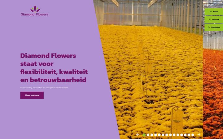 Screenshot of diamond-flowers.nl