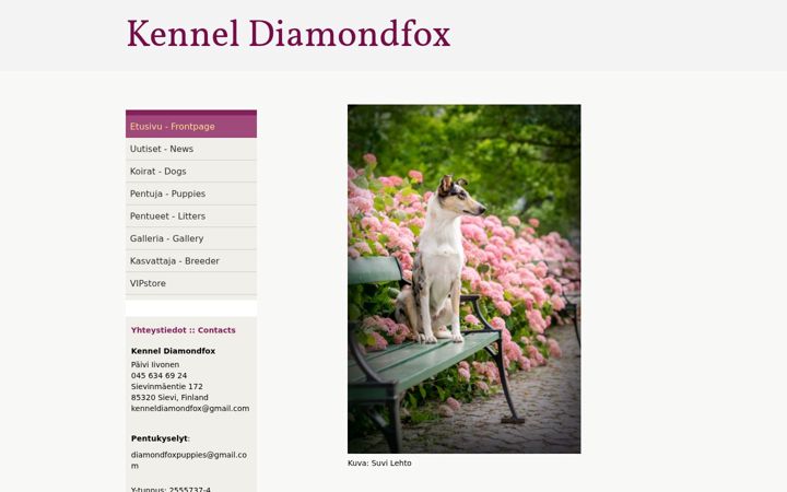 Snimka zaslona za diamondfox.net