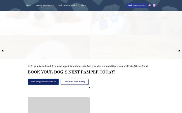 diamondintheruffdoggrooming.co.uk