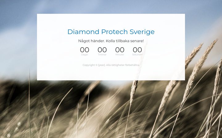 Screenshot di diamondprotech.se
