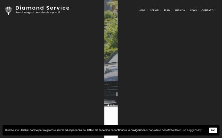 Ekrano kopija diamondservice.org