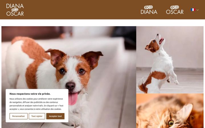 Screenshot of diana-oscar.fr