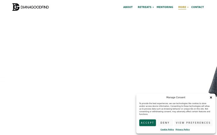 Screenshot of dianagoodfind.com