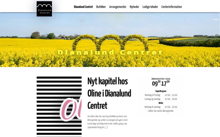 Snímek obrazovky dianalund-centret.dk
