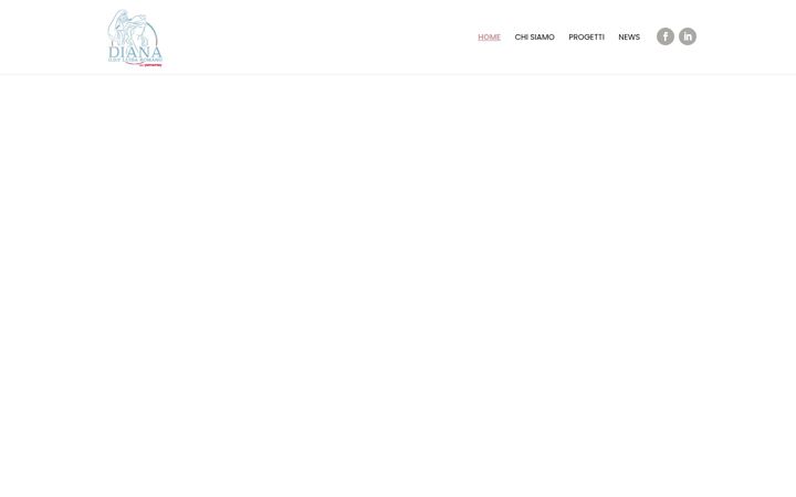 Screenshot of dianaodv.org