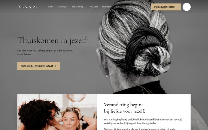 Screenshot of dianaverweijen.com