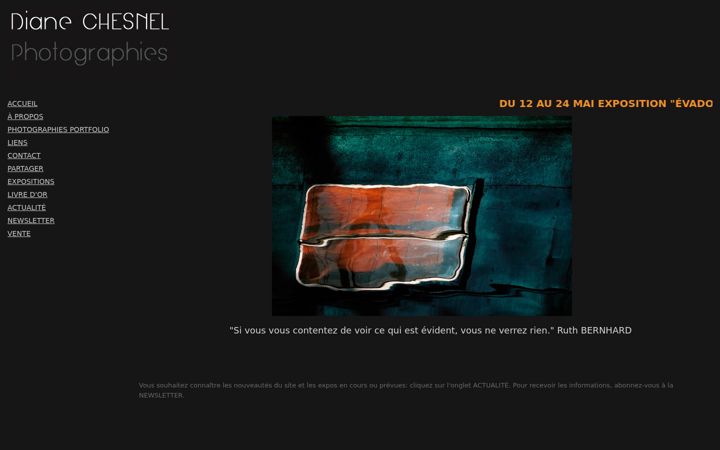 Screenshot of dianechesnel.fr