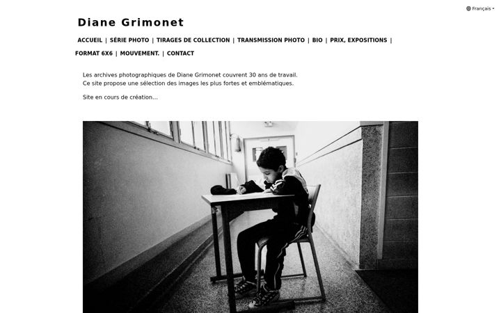 Screenshot of dianegrimonet.com