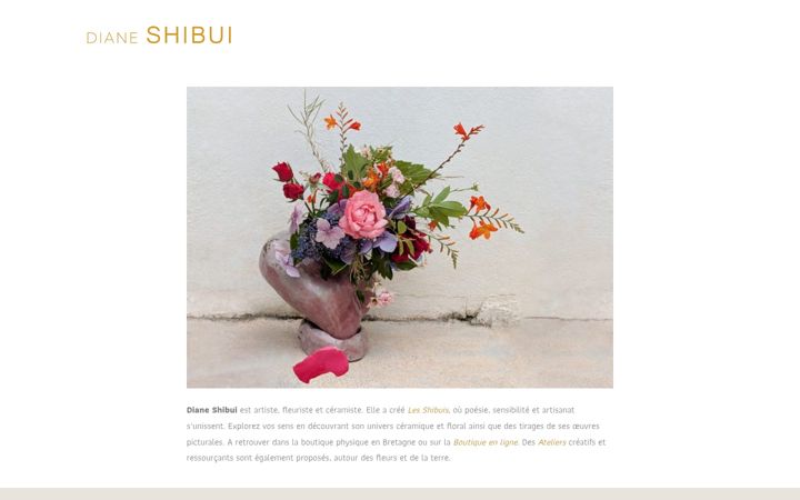 Screenshot of dianeshibui.com