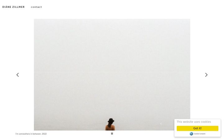 Screenshot of dianezillmer.com