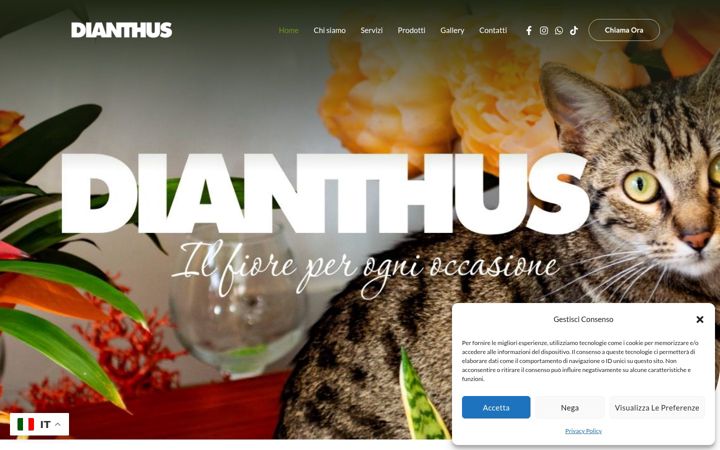Zrzut ekranu dianthusfiorimilazzo.it