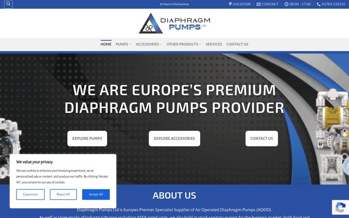 Zrzut ekranu diaphragmpumps.co.uk