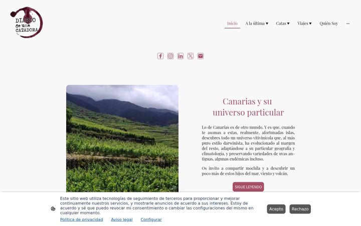 Screenshot of diariodeunacatadora.com