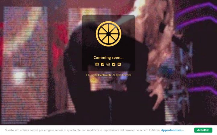 Screenshot of diarrecords.com