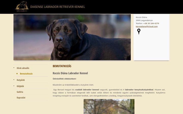 Screenshot of diasenselabrador.hu