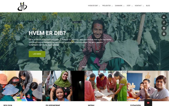 Screenshot of dib.dk