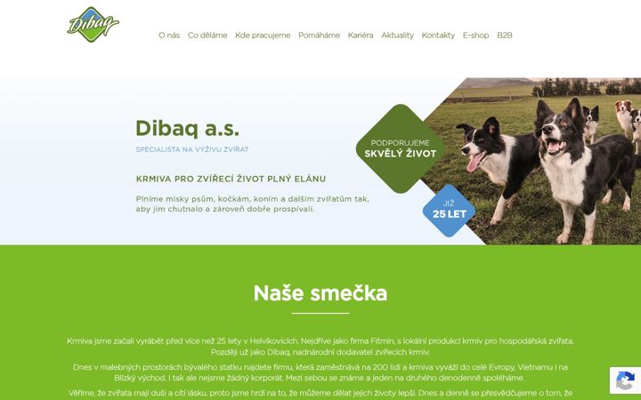 Skærmbillede af dibaq.cz