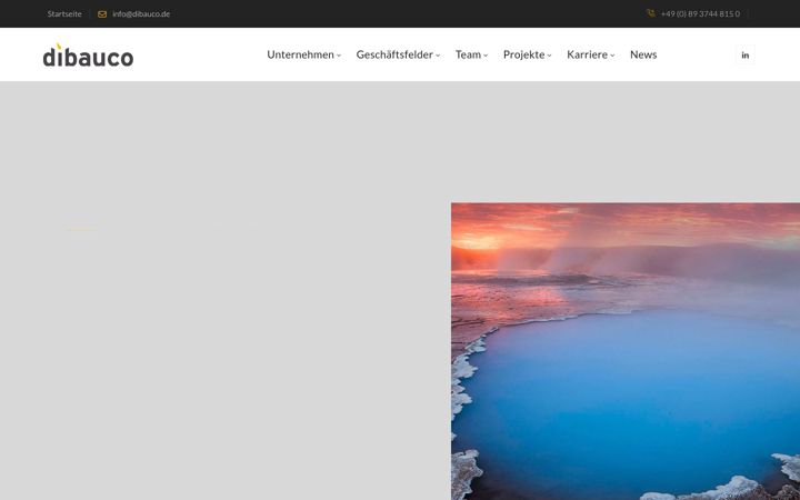 Screenshot of dibauco.de