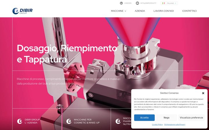 Screenshot of dibirgroup.it