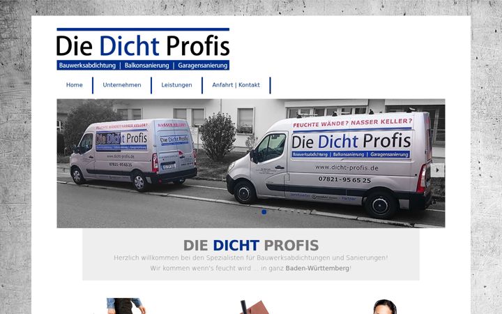 Screenshot of dicht-profis.de