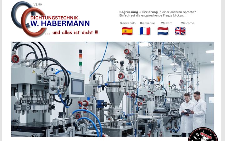 Screenshot of dichtungstechnik-habermann.de