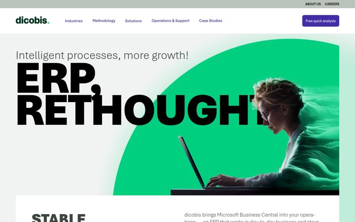 Screenshot of dicobis.com
