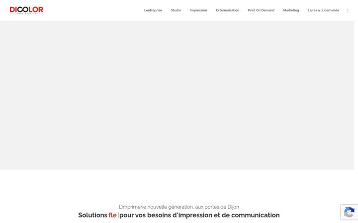 Screenshot of dicolor.com