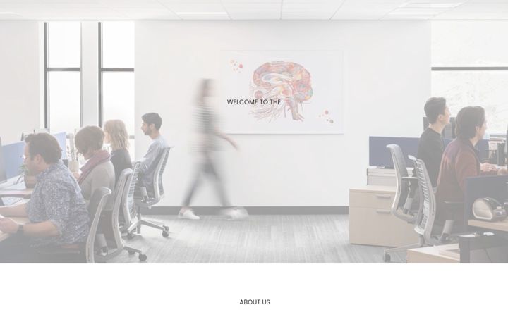 Screenshot of diconlab.org