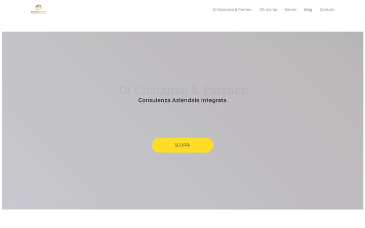 Screenshot of dicostanzoepartner.com