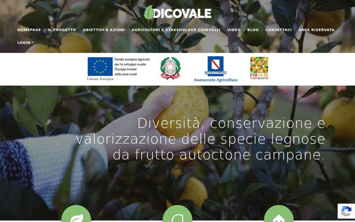 Screenshot of dicovale.it