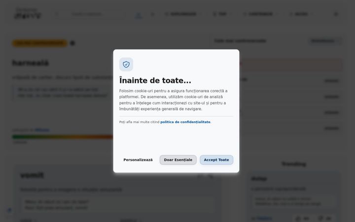 Screenshot of dictionarurban.ro