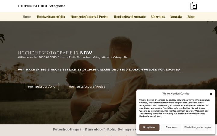 Screenshot of didenostudio.com