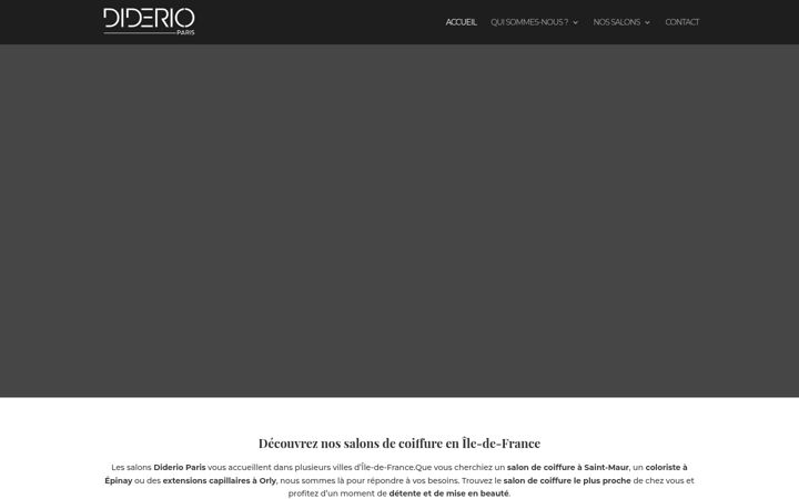 Screenshot of diderioparis.com