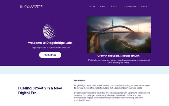 Screenshot of didgebridge.com