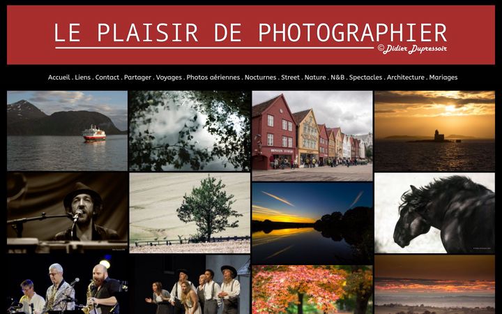 Screenshot of didierdupressoirphotographie.fr