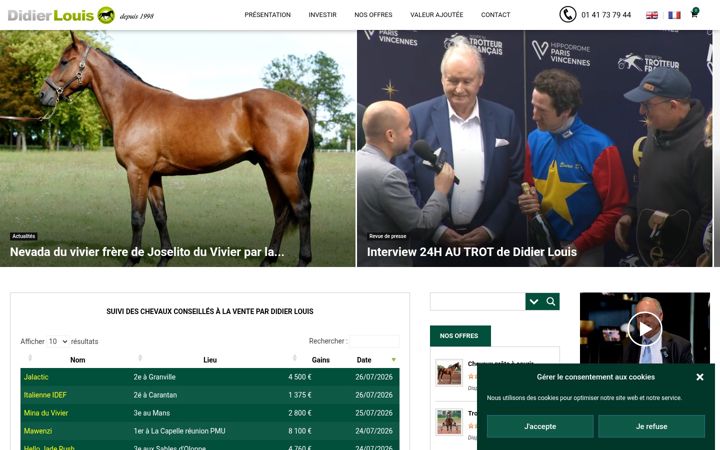 Screenshot of didierlouis.fr