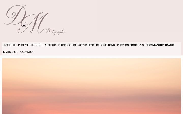 Screenshot of didiermaussion.com