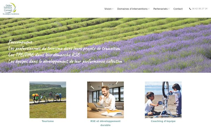 Screenshot of didiersavauxconseil.com