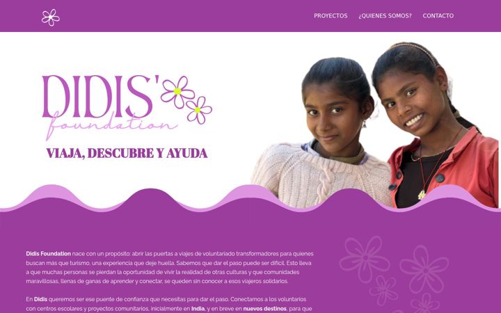 Screenshot of didisfoundation.org