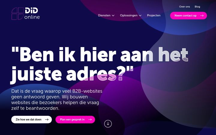 Screenshot of didonline.nl