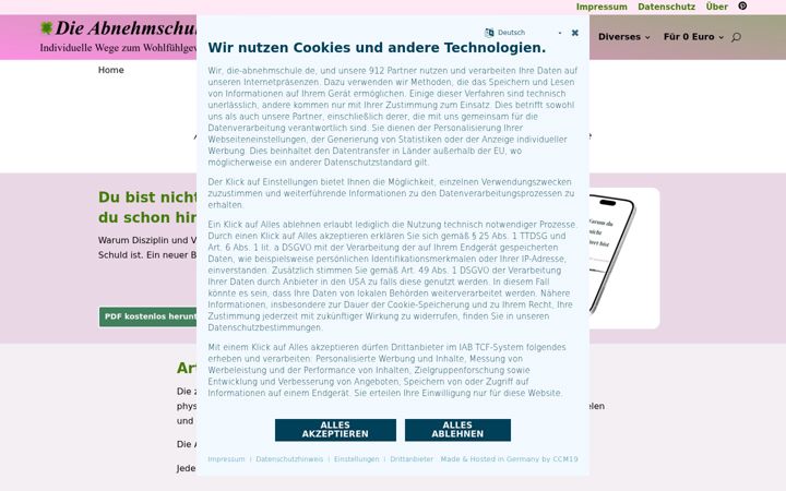 Zrzut ekranu die-abnehmschule.de