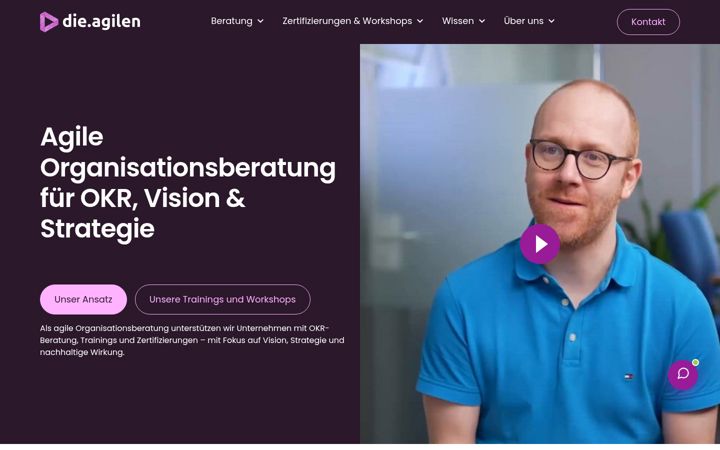 Zrzut ekranu die-agilen.de