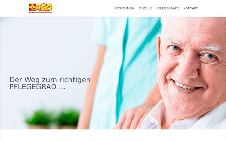 Screenshot ta' die-einstufungsberater.de