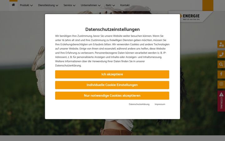 Screenshot ta' die-energie.de