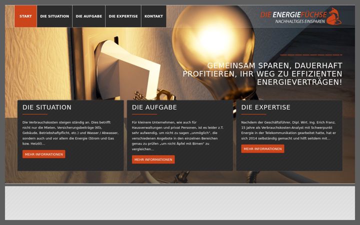 Screenshot ta' die-energiefuechse.de