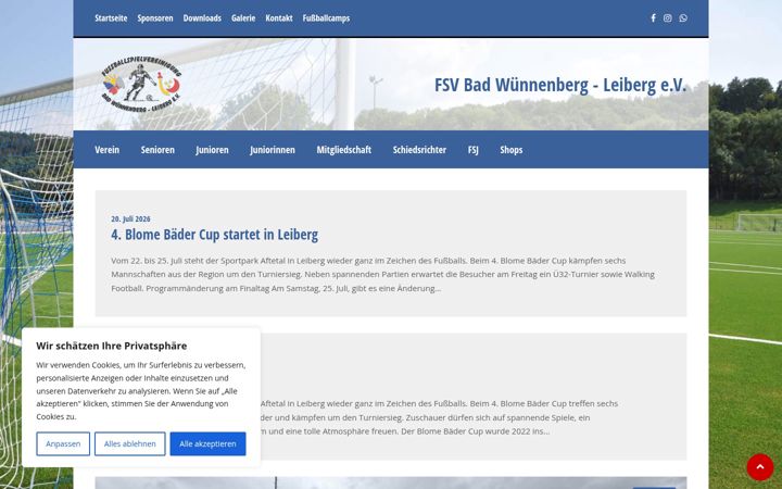 Screenshot of die-fsv.de